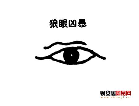 狼眼面相|狼眼面相图解